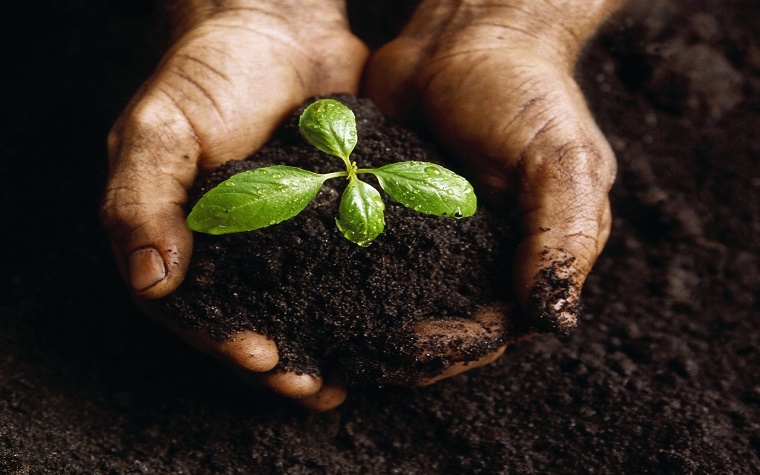 Campo Rico Fertilizers secures funding from NGP Global Campo Rico Fertilizers secures funding from NGP Global