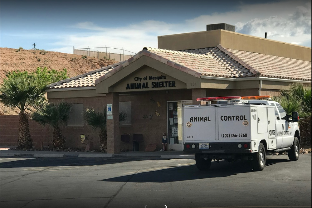 Job Opening Animal Control Officer Job Opening Animal Control Officer