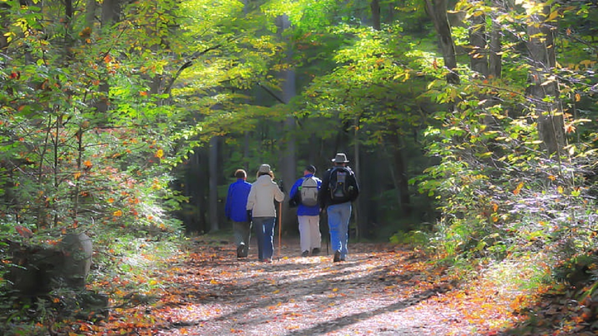 Georgia women hopes to meet goal to walk every day for a year: ‘I feel more driven’ Georgia women hopes to meet goal to walk every day for a year: ‘I feel more driven’