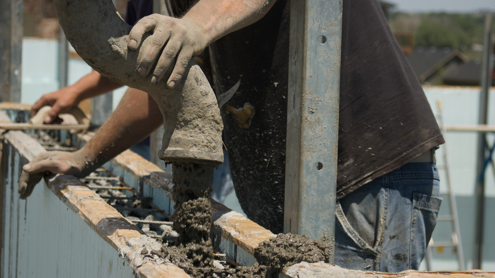 Trees falling most likely caused the most structural damage when Tropical Storm Fay made landfall. - Stock image