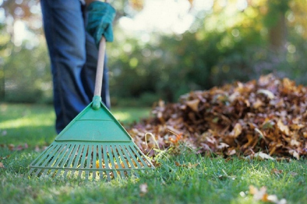 Operation Spring Clean-up Scheduled May 2nd – May 6th
