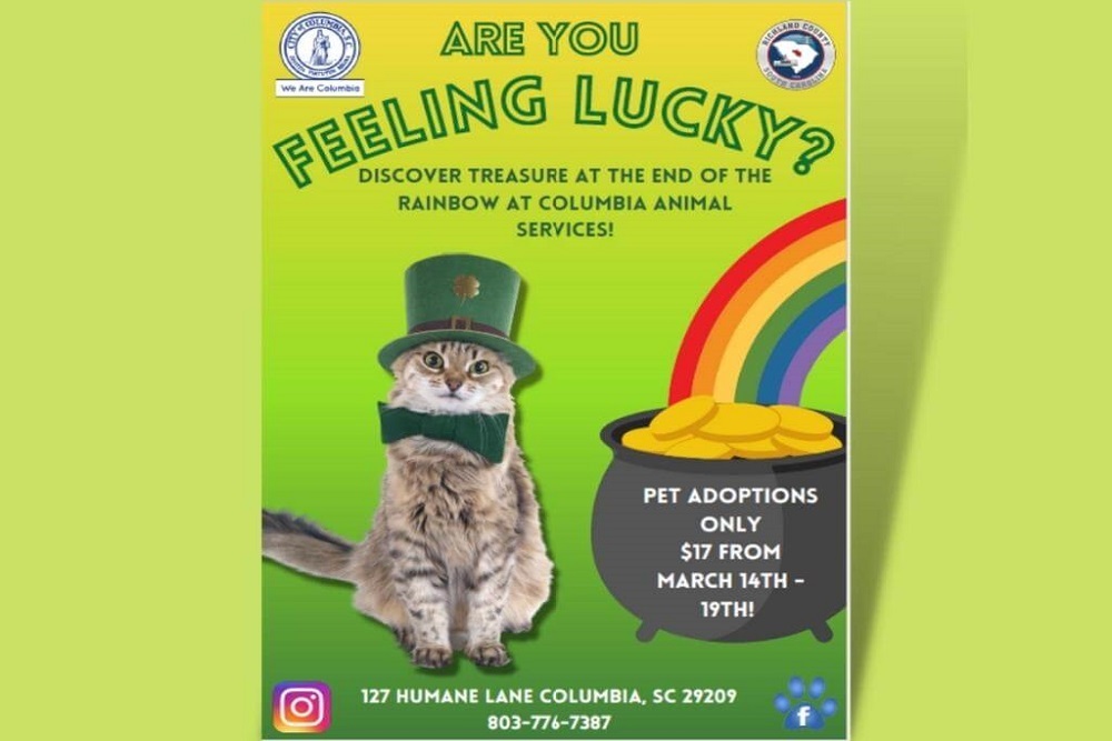 City of Columbia: Columbia Animal Services to Hold St. Patrick’s Day Adoption Special