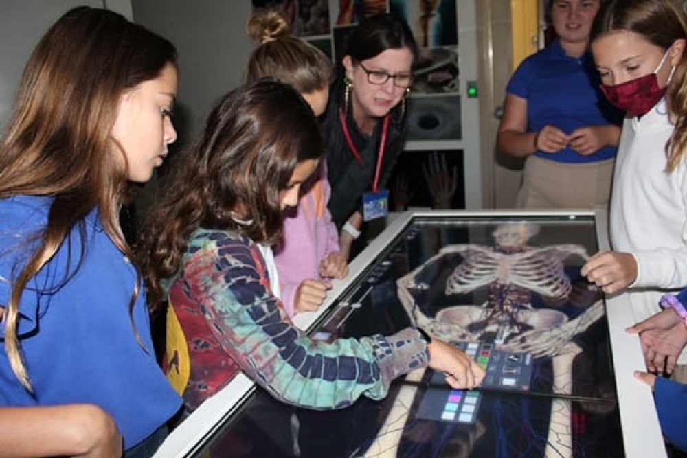 Fifth Graders Navigate Anatomage Table
