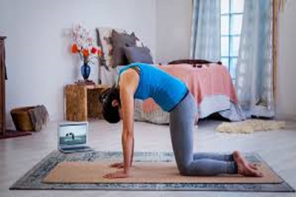 UNIVERITY OF PITTSBURGH, JOHNSTOWN: Pitt Johnstown Virtual Workout: Gentle Yoga Flow to be held December 25 UNIVERITY OF PITTSBURGH, JOHNSTOWN: Pitt Johnstown Virtual Workout: Gentle Yoga Flow to be held December 25