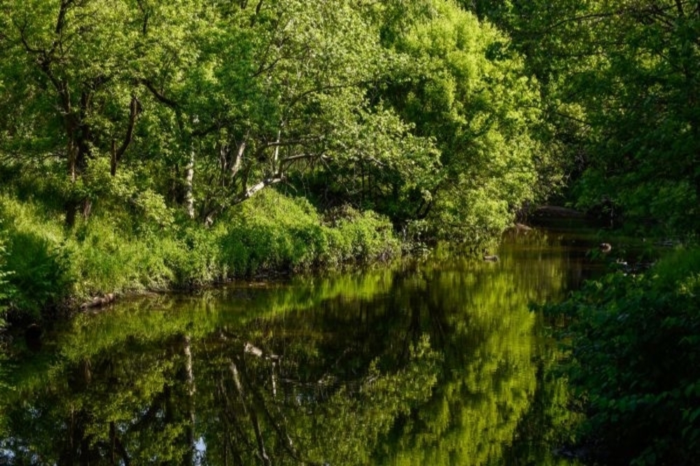 ANNE ARUNDEL COUNTY BUREAU OF HIGHWAYS: Protecting the watersheds ANNE ARUNDEL COUNTY BUREAU OF HIGHWAYS: Protecting the watersheds