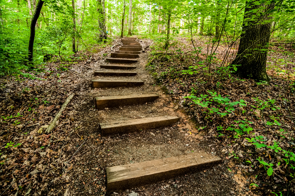North Carolina’s Year of The Trail North Carolina’s Year of The Trail
