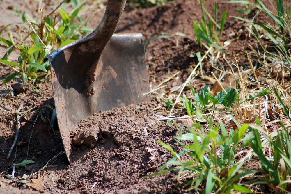 Highland Group Breaks Ground for Agriculture Building at Graham Creek Nature Preserve