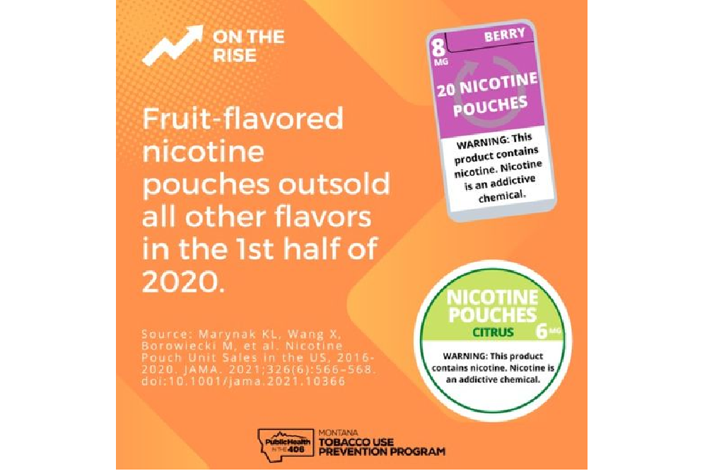 Fruit-flavored Nicotine Pouches Outsold All Other Flavors in the First Half of 2020