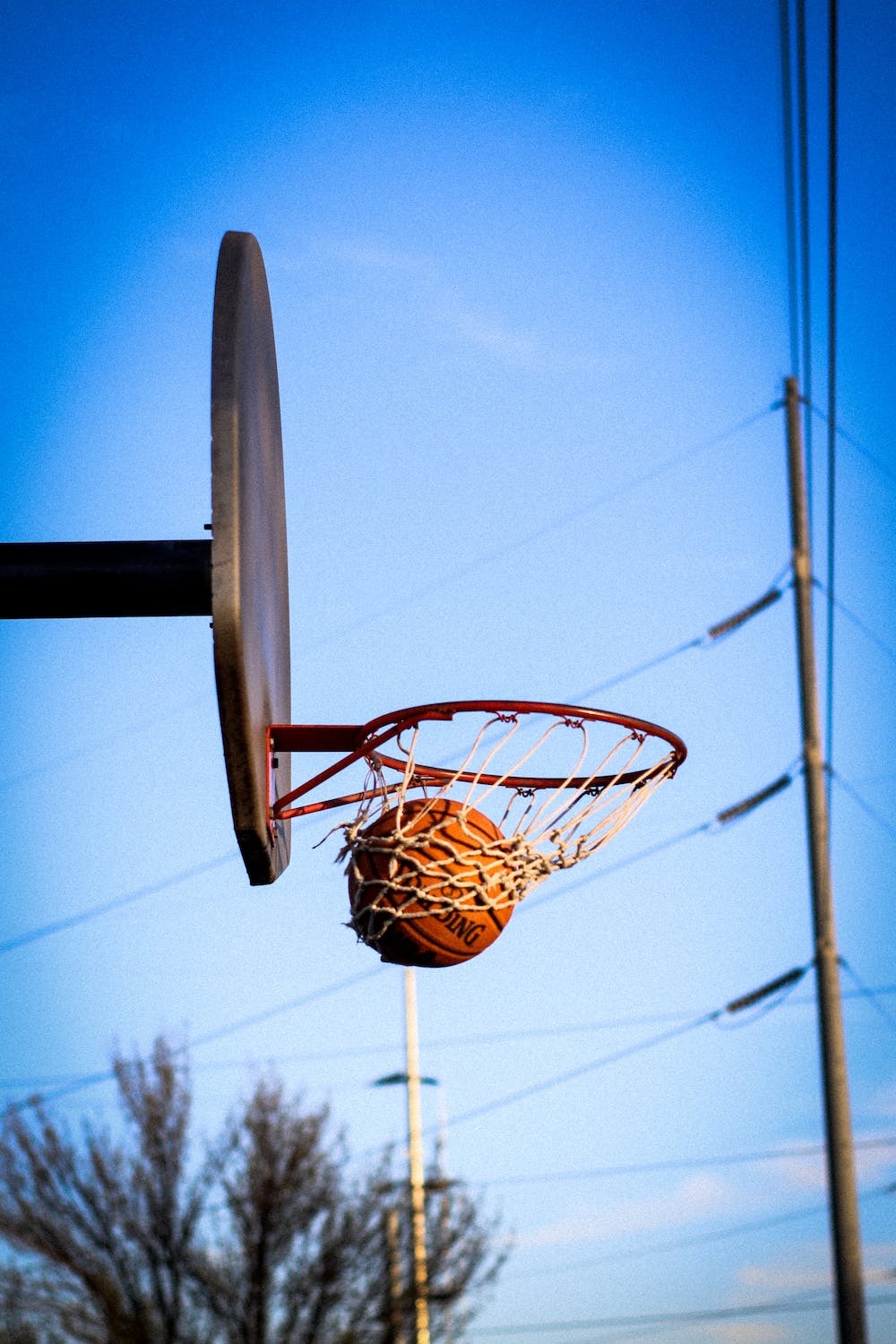 Explore an adaptable sports program at Miami-Dade Parks