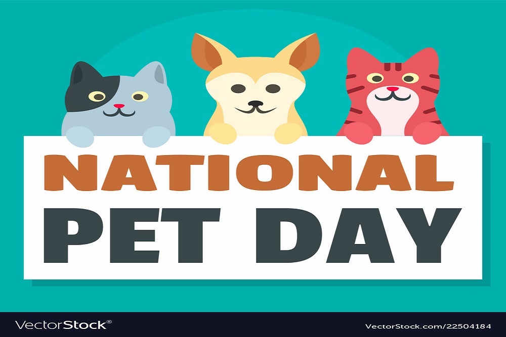 Happy National Pet Day!