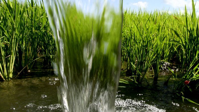 Water Production