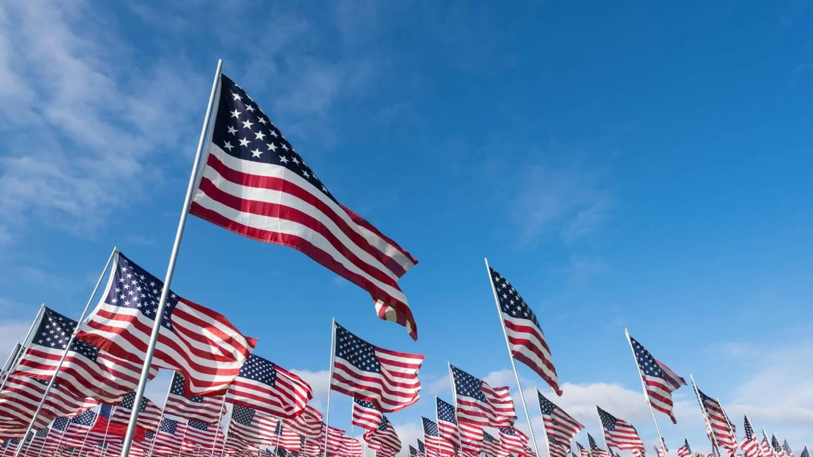 Westlake Ace Hardware to give away American flags