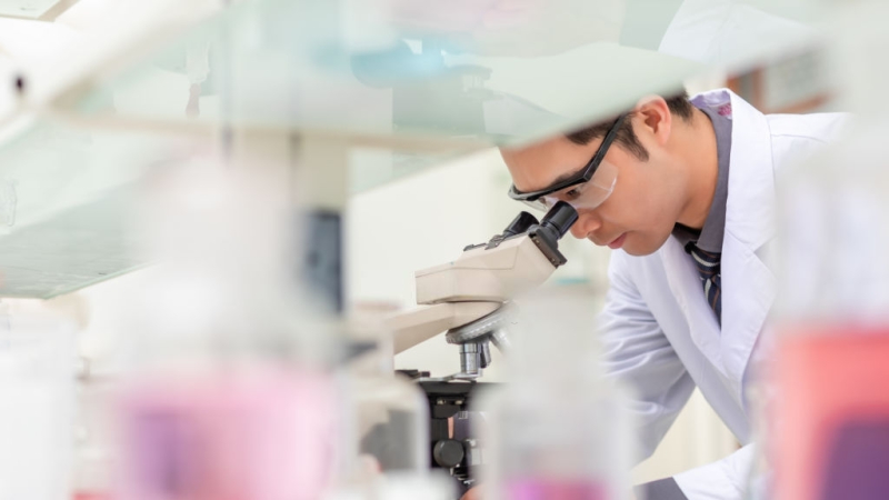 Study Suggests Women STEM Majors at Disproportionate Risk of Sexual Violence Study Suggests Women STEM Majors at Disproportionate Risk of Sexual Violence