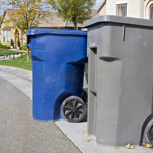 Recycling Drop-Offs at Daley Street