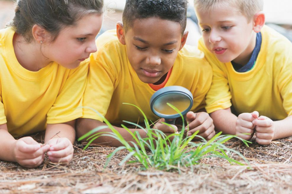 2022 Educational Camps – SWeETy Camp on June 13