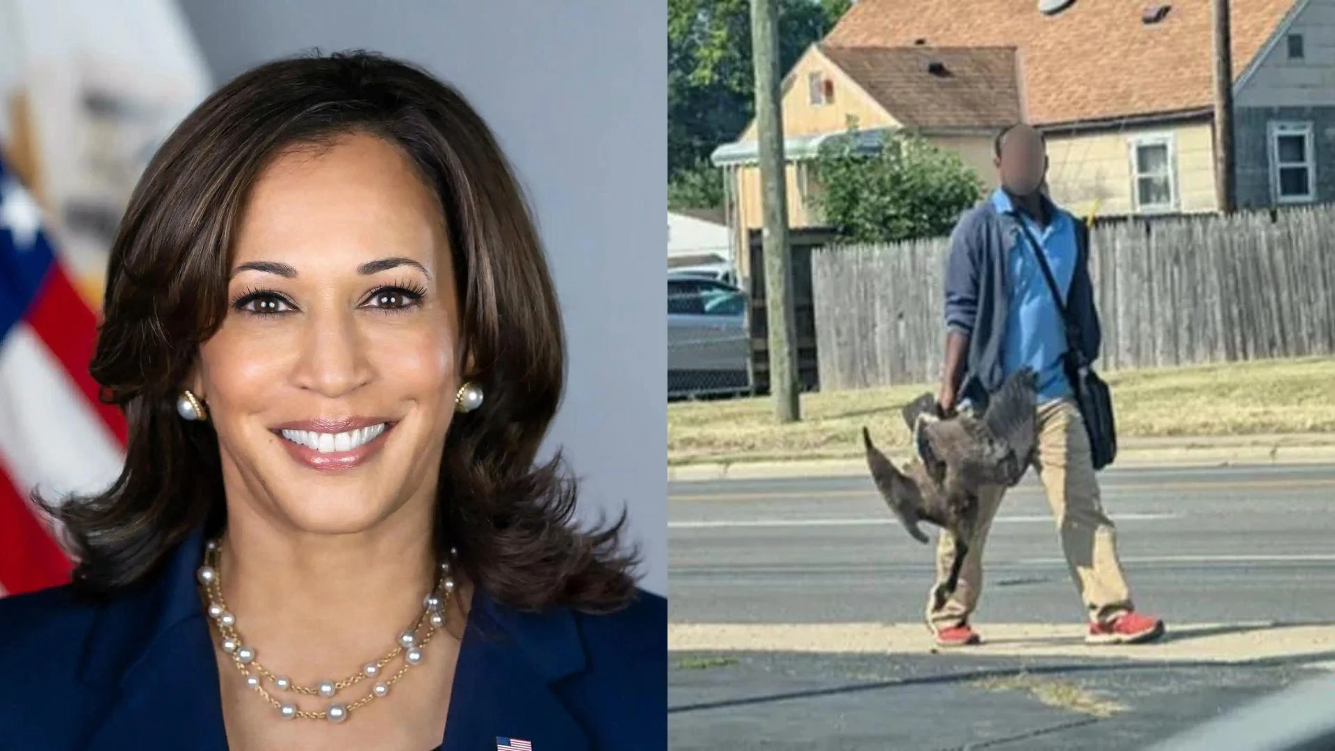 Vice President Kamala Harris (D) left, and a viral photo of a man carrying dead geese in Ohio