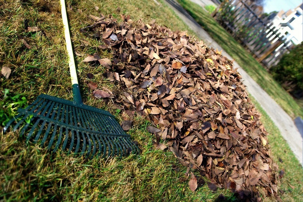 City of Antigo Brush & Mulch Site Open to be held June 1