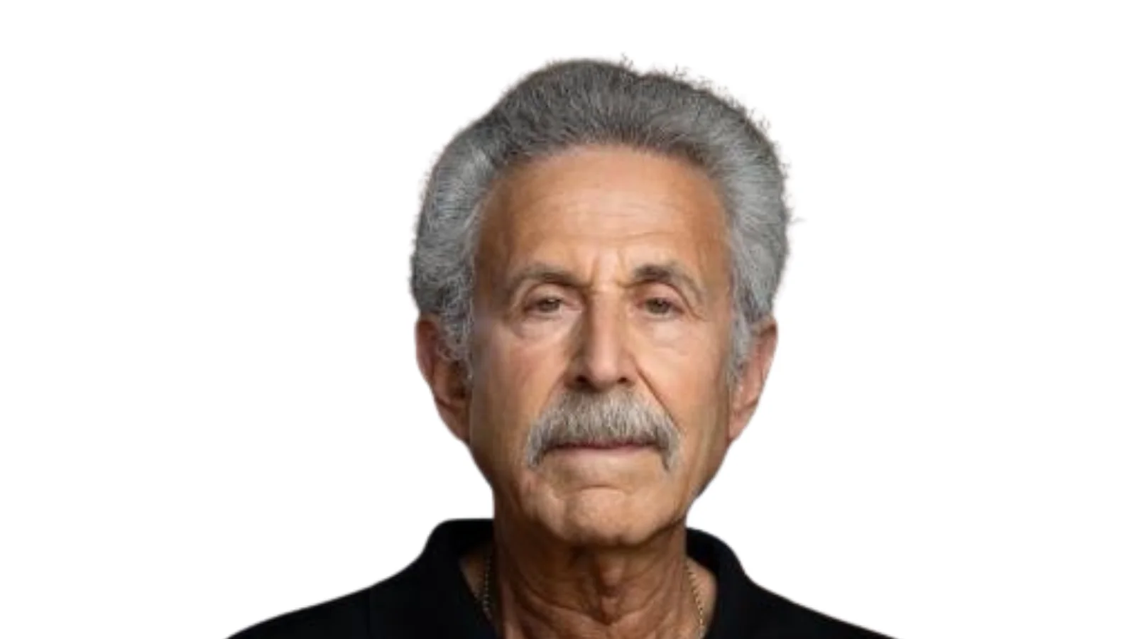 Edward Solomon, Monroe E. Spaght Professor of Chemistry emeritus