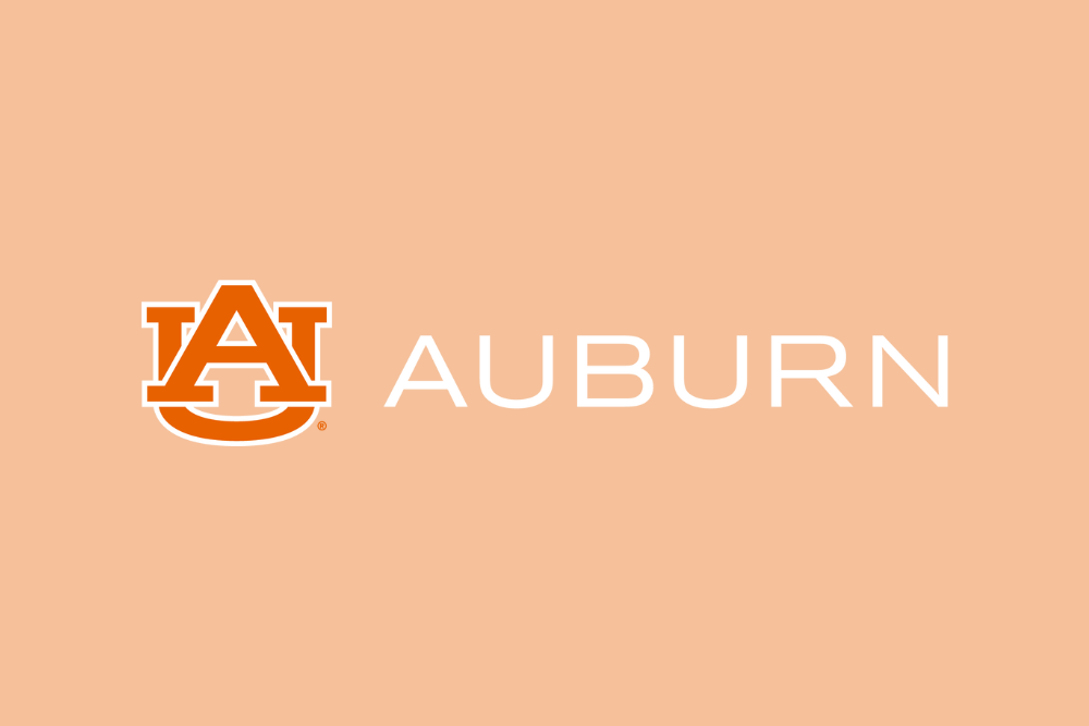 Auburn faculty selected to participate in national development program