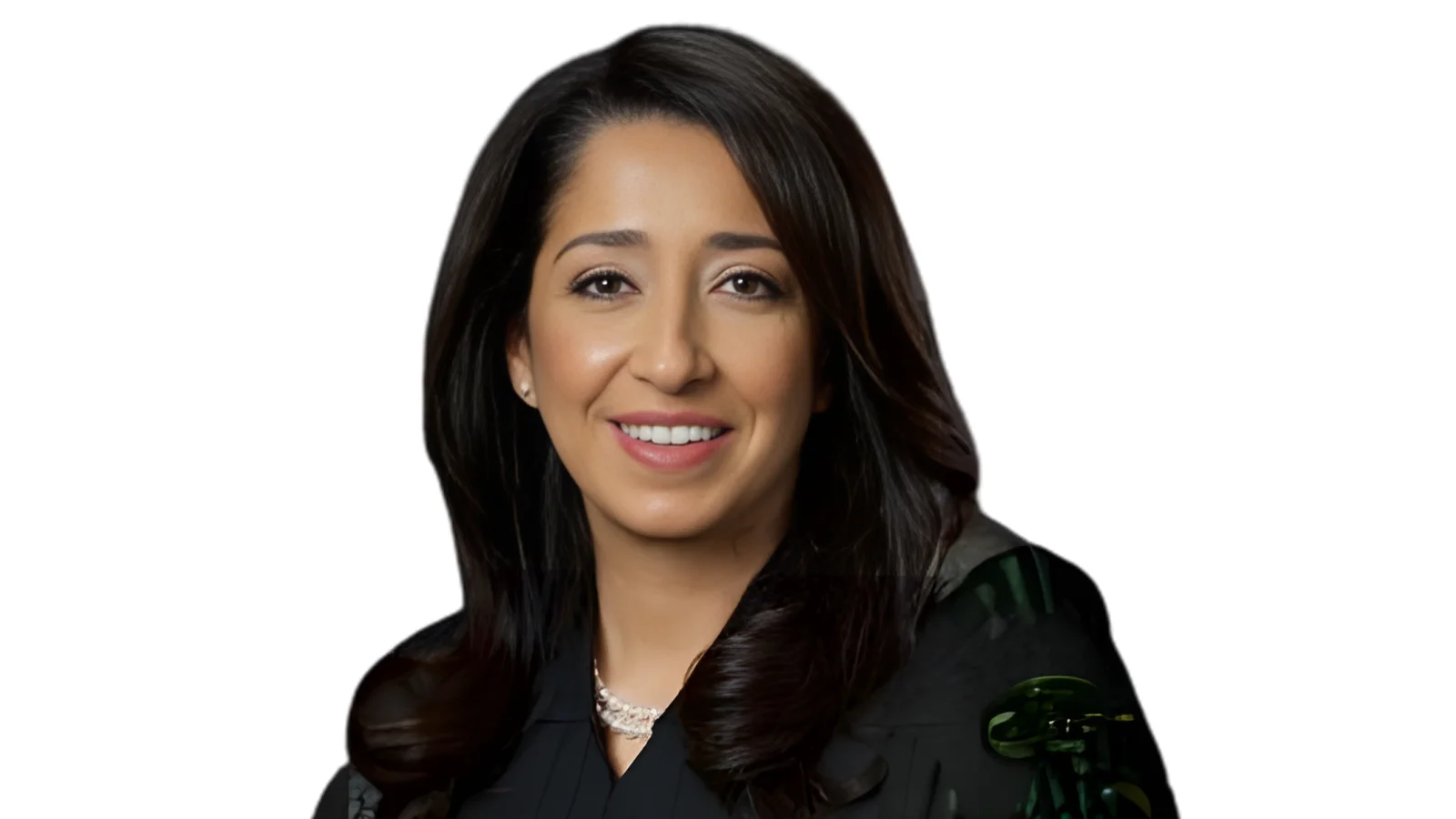 Hala Y. Jarbou, Chief Judge Hala Y. Jarbou, Chief Judge