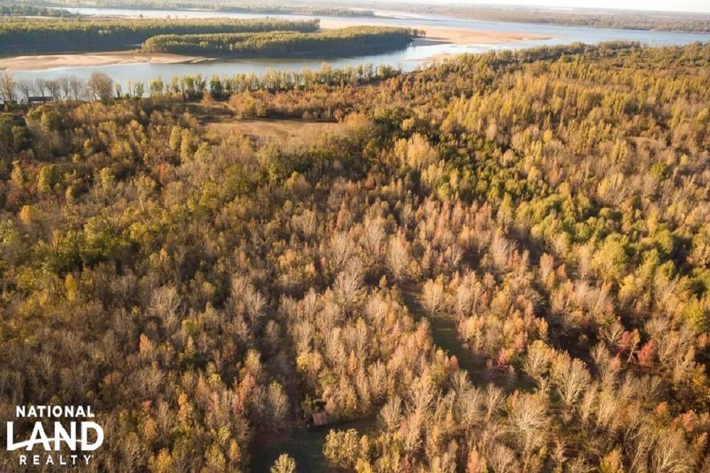 260-acre Property Located on the Eastern Banks of the Mississippi River in Issaquena County