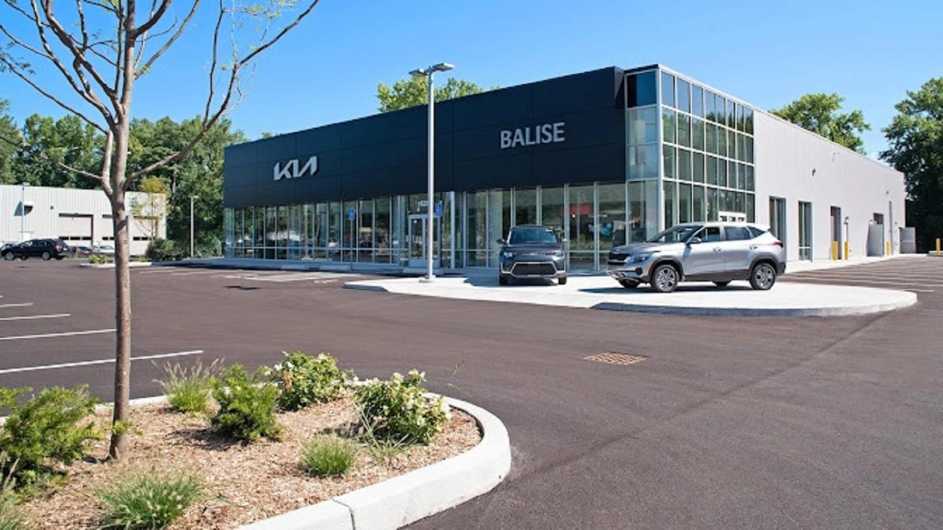 Balise Kia to President Trump: ‘We wholeheartedly support your promise’ to end EV mandates