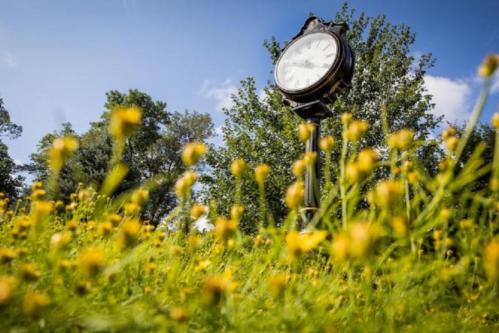 EASTERN UNIVERSITY: PhD in Organizational Leadership Online Information Session on April 16