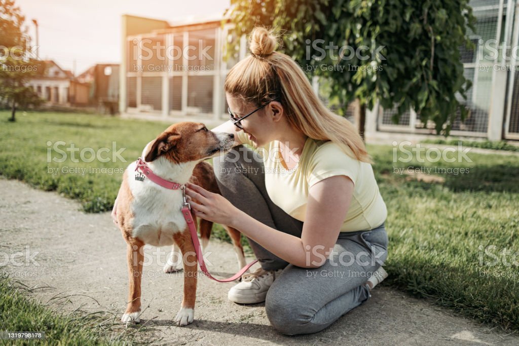 Animal Shelter Is Completely Full