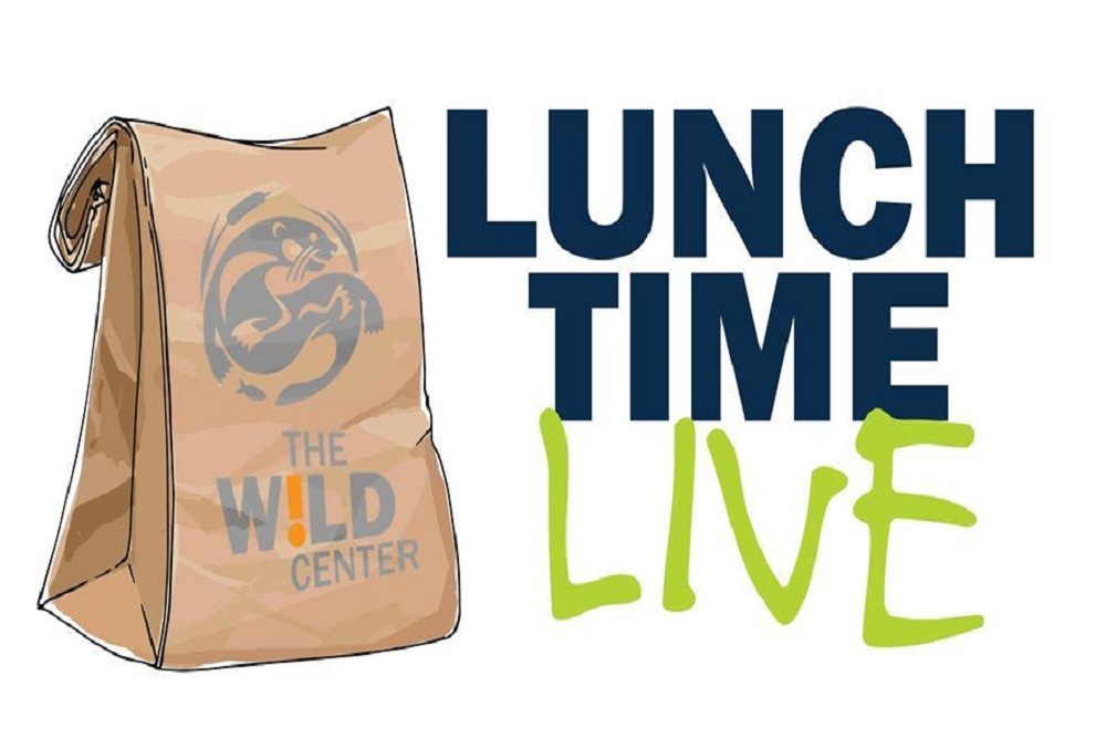 Lunchtime Live! Returns to Bronson Park starting June 10