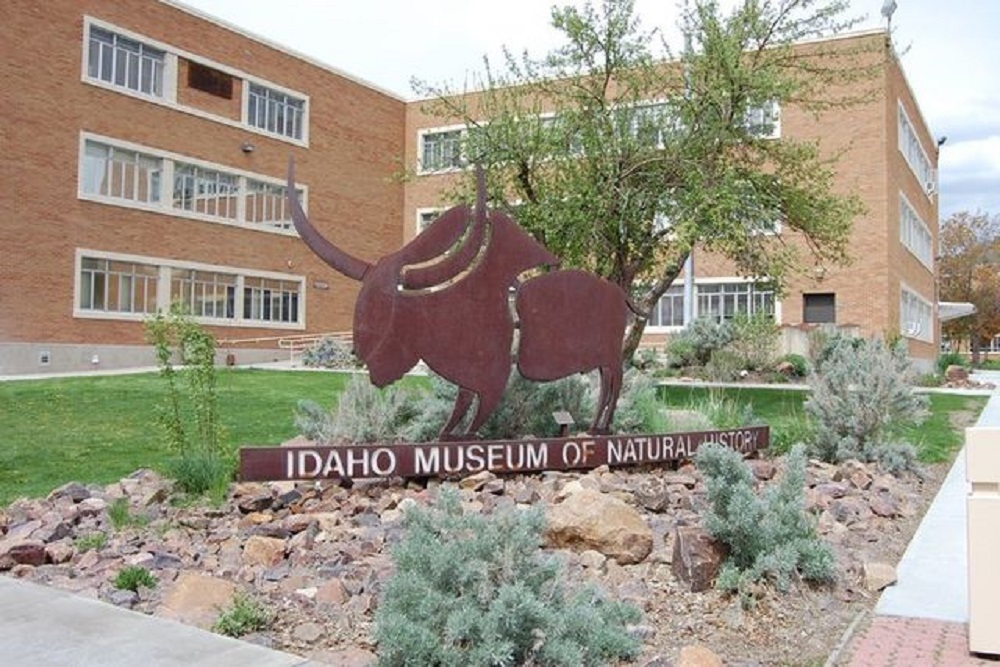 Summer Hours to Begin at the Idaho Museum of Natural History