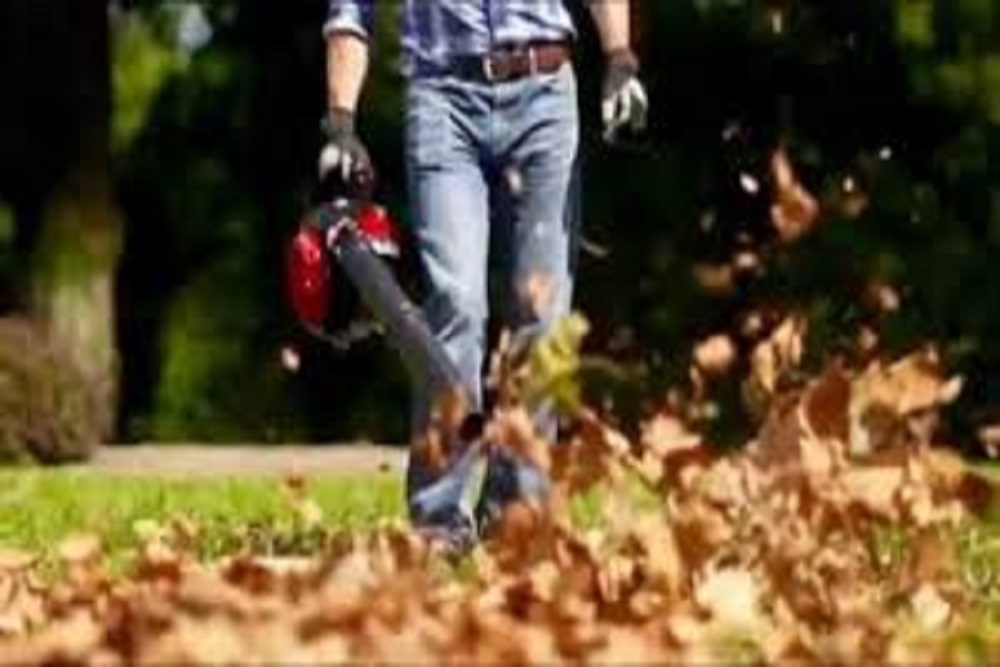 CITY OF HIGH POINT: Current Scheduled Loose Leaf Collection Routes are Approximately Three Weeks Behind