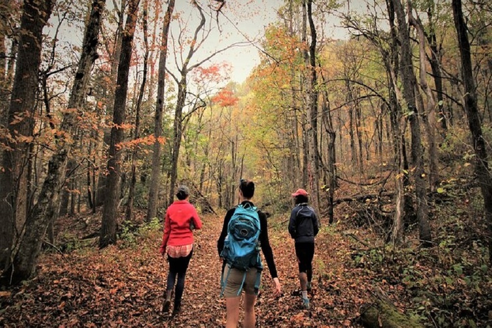 Hike with a Naturalist on April 2