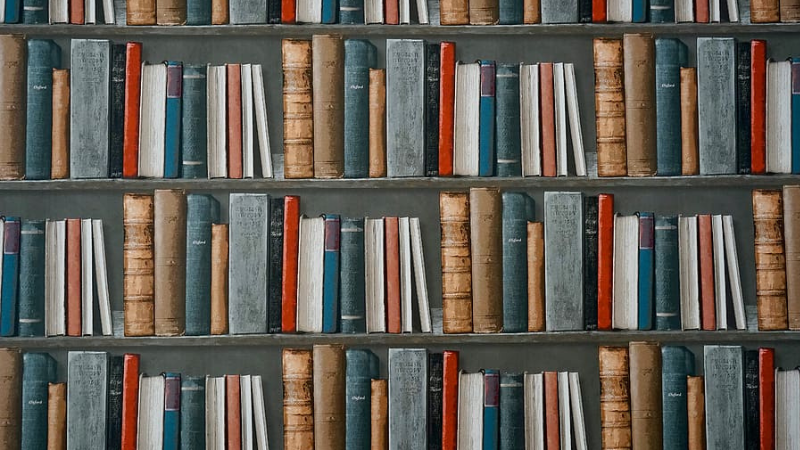 Charlotte Mecklenburg Library Announces to Join South County Regional Library for an Evening with Patrick Diamond