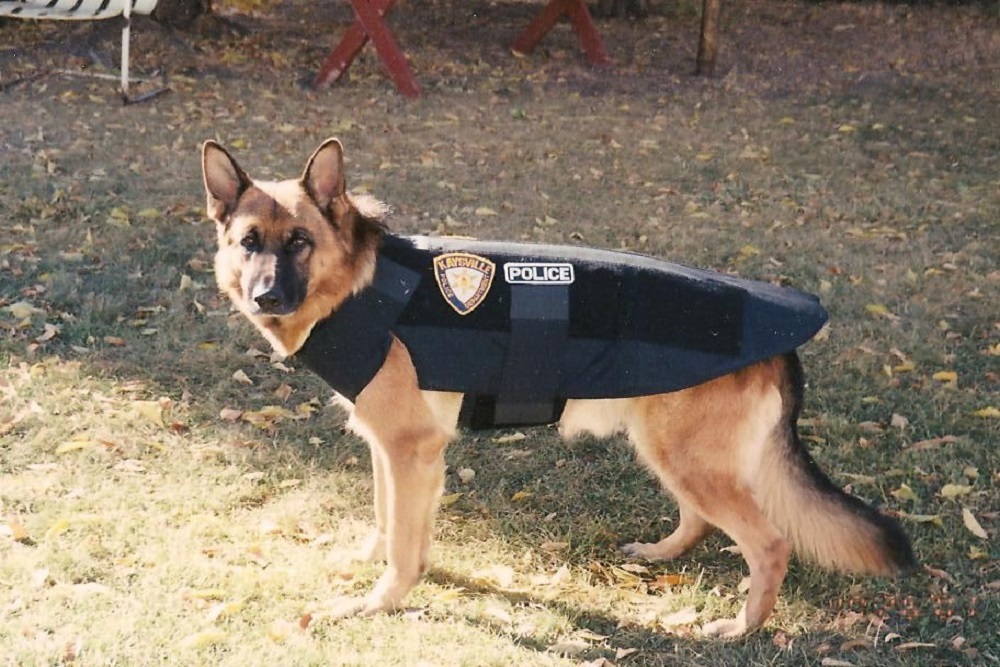 We’d like to introduce you to Deputy Jeff Krysan of our K9 program We’d like to introduce you to Deputy Jeff Krysan of our K9 program