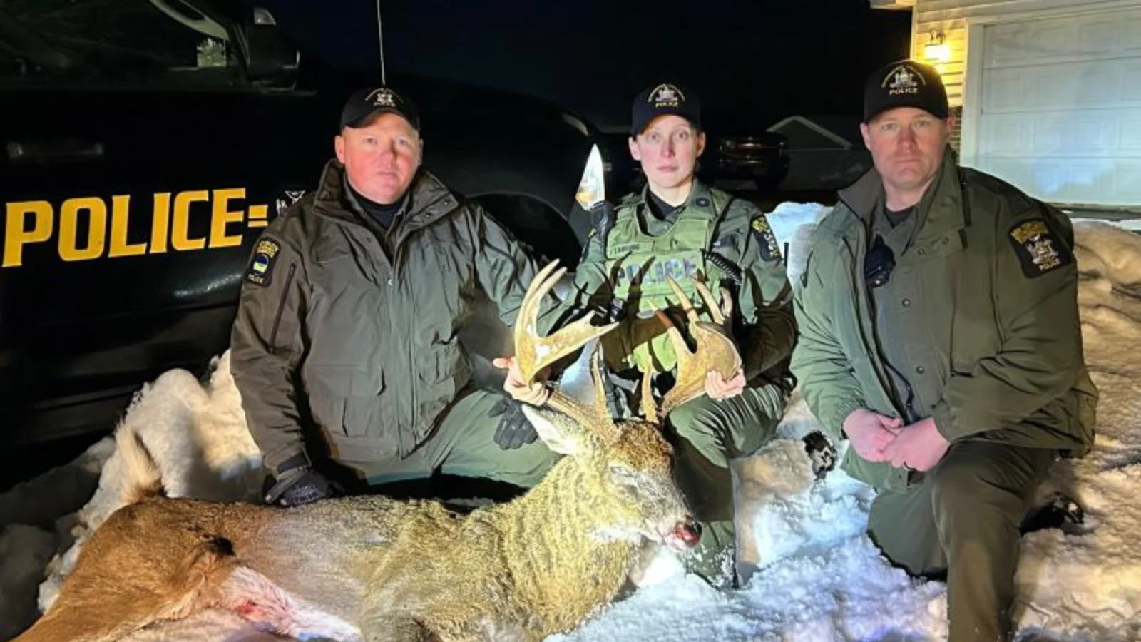 Deer health monitoring Deer health monitoring