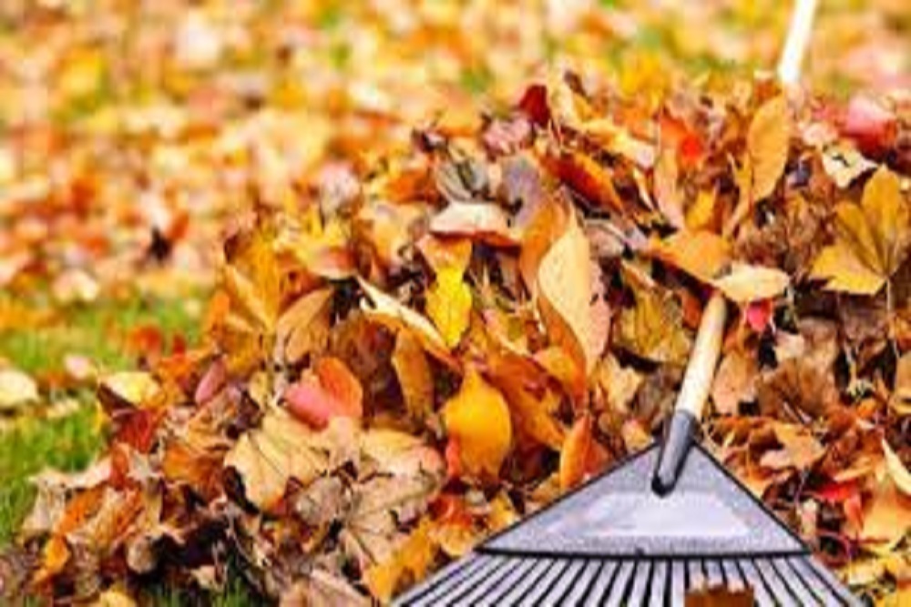 Spring/Fall Curbside Clean-Up