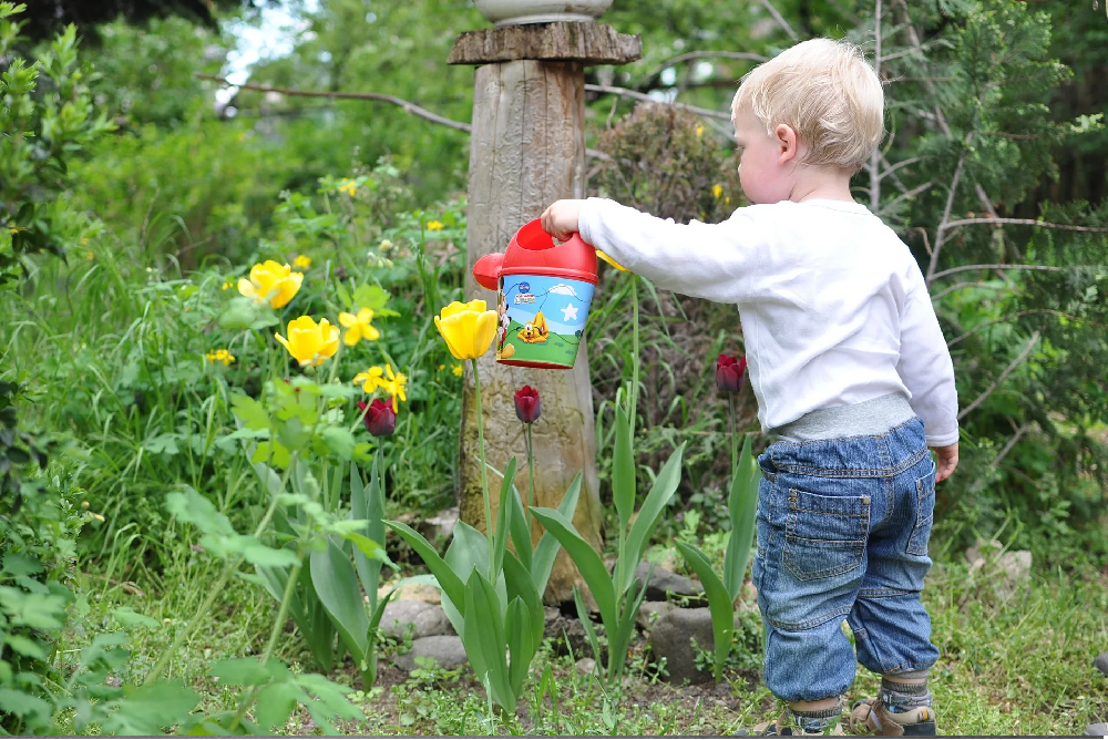 Food Sense Gardening on May 3, 2022