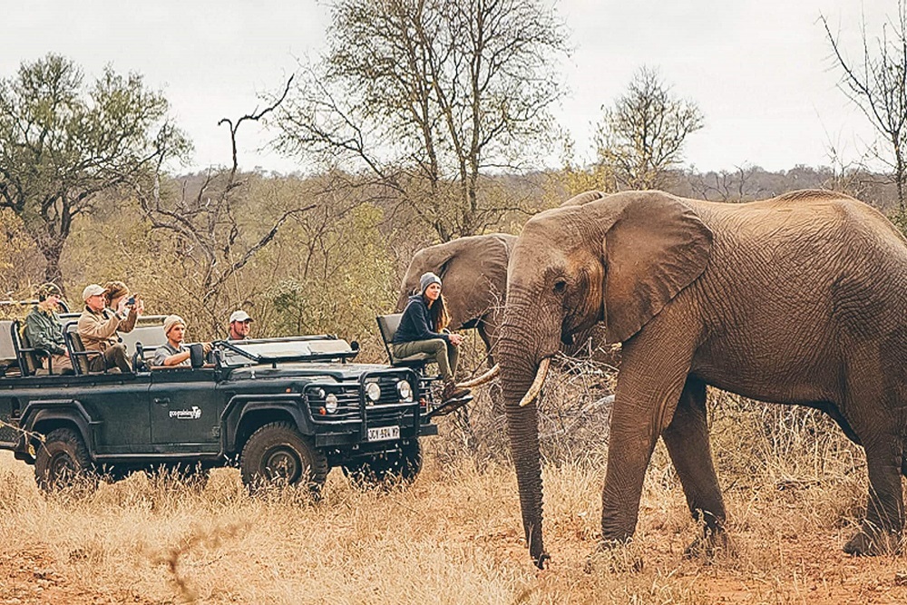 Elephant joins leading national agency’s personal auto insurance panel