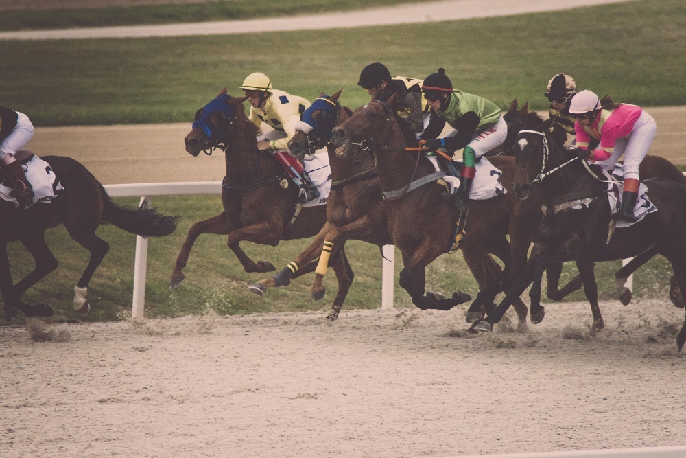 DARBY DAN FARM: Chalon racks up fifth career stakes win DARBY DAN FARM: Chalon racks up fifth career stakes win