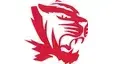 Princeton Tigers to host Evansville Reitz Panthers in Saturday baseball match