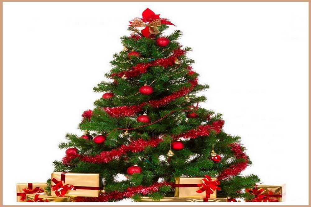 WAYNE COUNTY PUBLIC LIBRARY: Create A Beautiful Christmas Tree