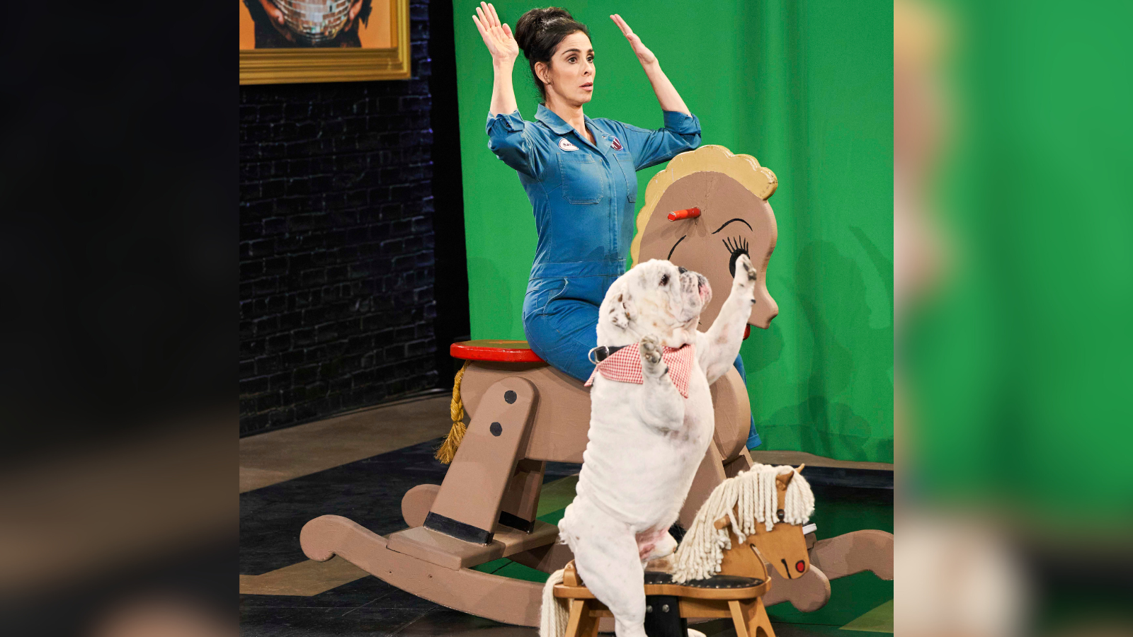 TBS’ Stupid Pet Tricks Tour and auditions coming to Austin Feb. 10 TBS’ Stupid Pet Tricks Tour and auditions coming to Austin Feb. 10