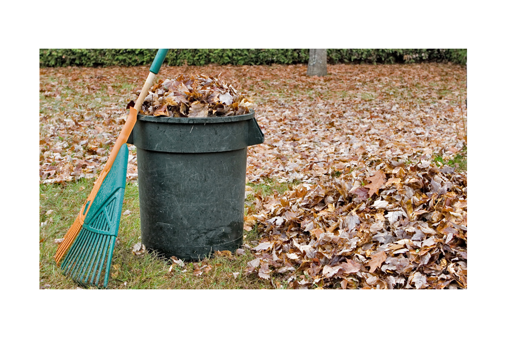 Yard Waste Services on Hold Yard Waste Services on Hold