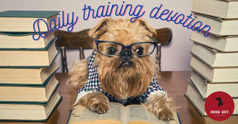 Training Devotion of the Day