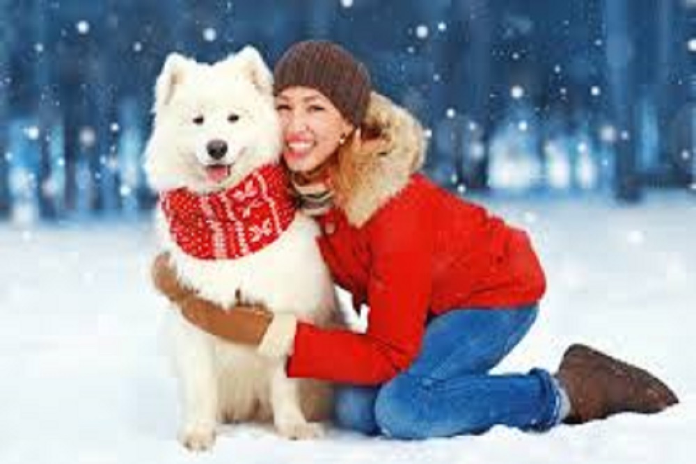 TOWN OF AYDEN: Keeping Pets Safe During Cold Weather