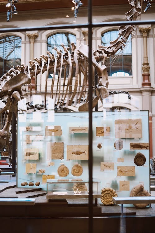 In Chapman’s Dino Lab, Students Dig Beyond Childhood Dreams of Jurassic Adventures