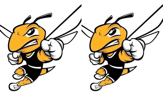 Which former North Country Leader area high school standouts will be in action on Sunday, March 30? Which former North Country Leader area high school standouts will be in action on Sunday, March 30?