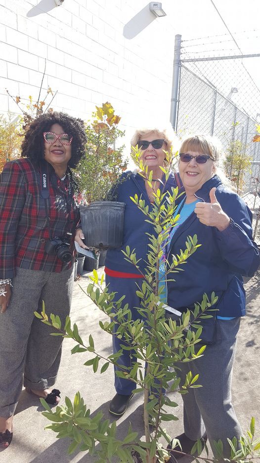 Marion County: Planting a tree in honor of a loved one