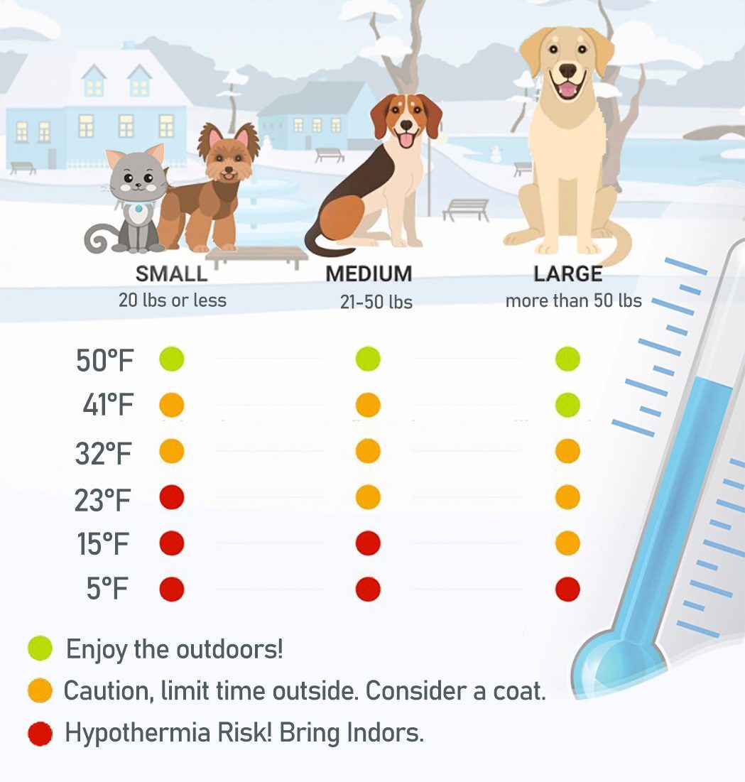 Its important to keep a watchful eye on pets when outdoors