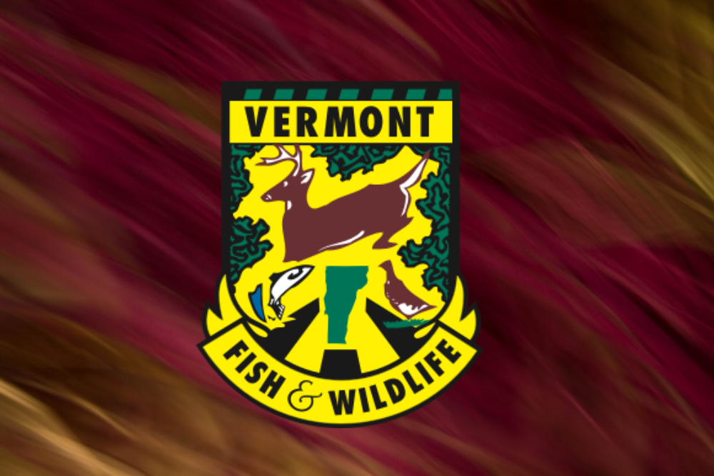 Introduction To Fly Fishing